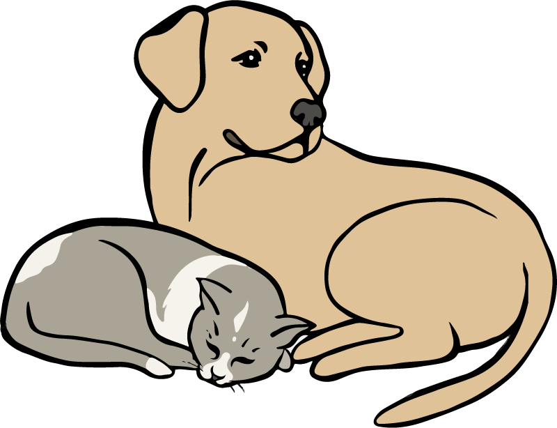 Logo PetCare